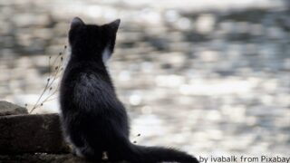 「看護師辞めたい」を考える時のワークブック｜『心がスッと軽くなる認知行動療法ノート』