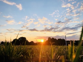 夕暮れのやわらかい光
