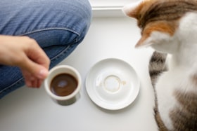 朝の光の中でコーヒーを注ぐ手元